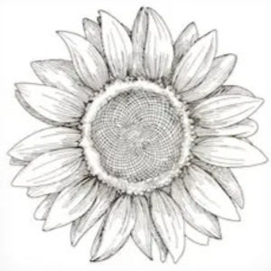 Meet your Posher, Ella